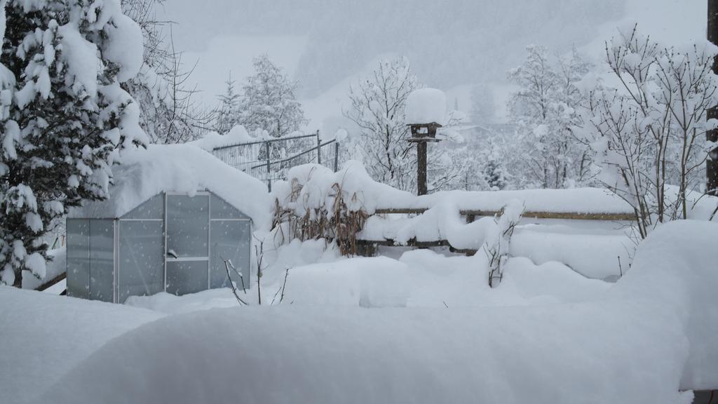 Appartement Gwiggner Niederau Exteriér fotografie
